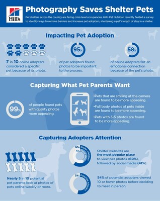 Hill's Pet Nutrition commissioned a survey of 1,500 pet owners and found a simple but impactful way to help shelters find homes for pets faster through photography.