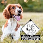 National Dog Day campaign kicks off with $75K donation match