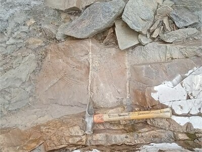 Figure 4: Sheeted veins found south of the Josephine Stock where visible gold was discovered (CNW Group/Sitka Gold Corp.)