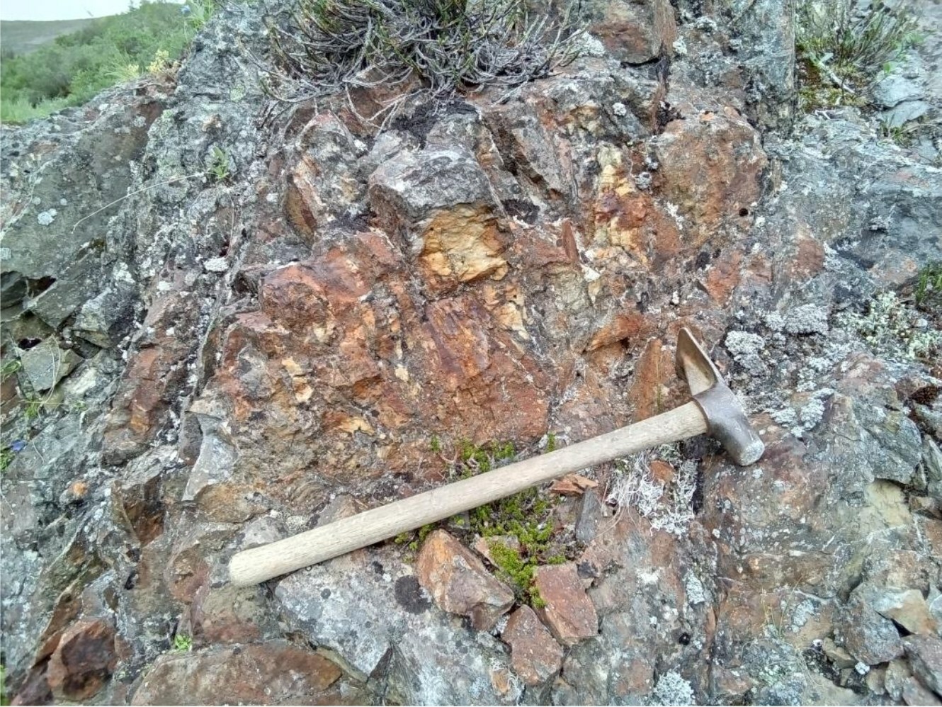 Figure 5: Outcrop with sheeted veins at the western margin of the Josephine stock where arsenopyrite and pyrite was observed (CNW Group/Sitka Gold Corp.)