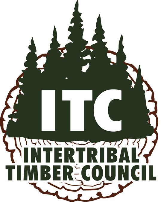 Increasing Threats to Tribal Forests Call for Immediate Action - Vimarsana News