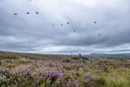 Grouse moor management offers 'most sustainable option for tackling climate change and biodiversity loss', according to new report