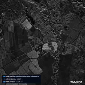 Umbra Generates the Highest-Resolution Commercial SAR Image Ever Released