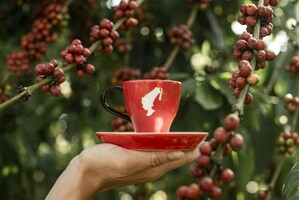 JULIUS MEINL PARTNERS WITH SAWA WORLD TO HELP ENRICH LIVELIHOODS OF <em>COFFEE</em> FARMERS