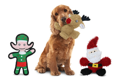 Cocker Spaniel with MyDogToy Winter Toys