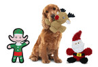 MyDogToy Introduces Its Newest Holiday Collection of Festive Functional Toys