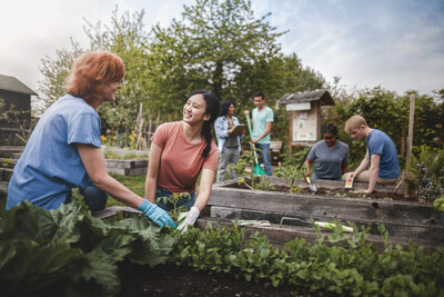 volunteering in urban garden (CNW Group/Ecclesiastical Insurance)