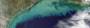 RTX space sensor to monitor coastal ecosystem health