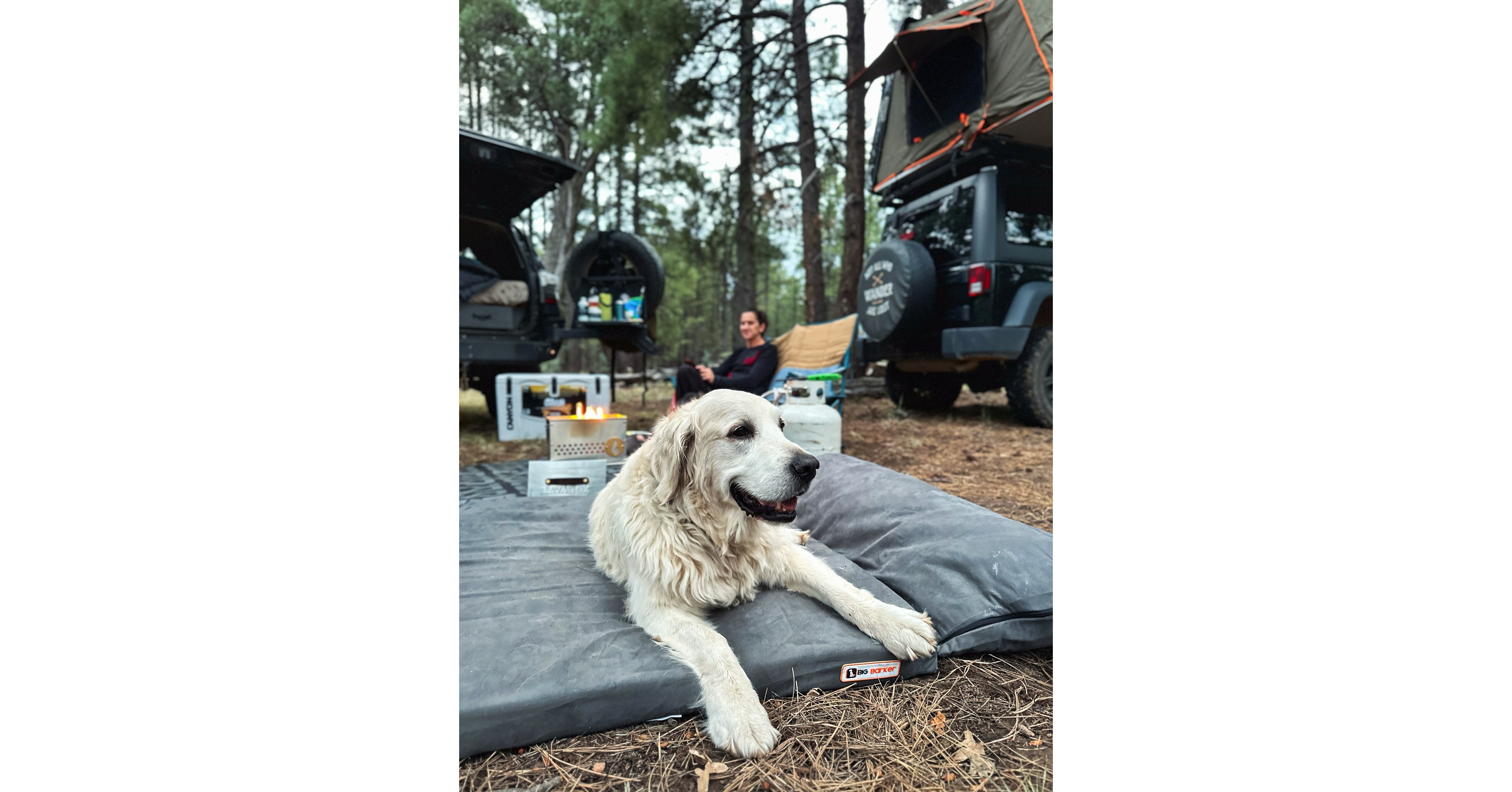 Big Barker Announces "Indiana Bones and the Canine Compass Ultimate Adventure Giveaway" August