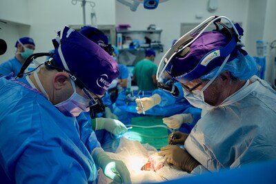 Jeffrey Stern, MD, (left) and Robert Montgomery, MD, DPhil, prepare to implant a genetically engineered pig kidney into the recipient's abdomen at NYU Langone Health. (Joe Carrotta for NYU Langone Health)