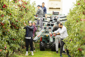 SUNNIEST JUNE FOR 66 YEARS BRINGS GREAT TASTING NEW SEASON BRITISH APPLES - THE HOME-GROWN SUPERFOOD