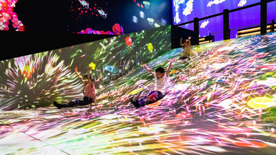 Art and technology meet at teamLab Future Park in Hong Kong, a new immersive experience by world-famous art collectives teamLab. (CNW Group/Hong Kong Tourism Board)