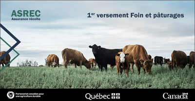 Versement d'un premier paiement de près de 9,2 millions de dollars à 1 676 producteurs de foin et de pâturages dans le cadre du Programme d’assurance récolte (Groupe CNW/La Financière agricole du Québec) Versement d'un premier paiement de près de 9,2 millions de dollars à 1 676 producteurs de foin et de pâturages dans le cadre du Programme d’assurance récolte (Groupe CNW/La Financière agricole du Québec)