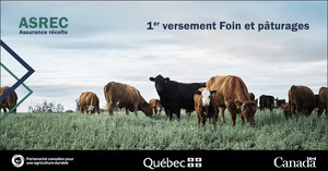 Programme d'assurance récolte  - En raison des aléas climatiques, plus de 9 M$ seront versés aux producteurs de foin et pâturages