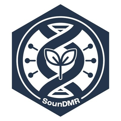 Researchers interested in accessing the sounDMR software can learn more at Github.