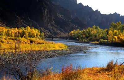 Based on Expedia flight searches, trending destinations for fall includes Yellowstone National Park