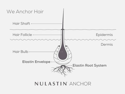 Elastin Root System