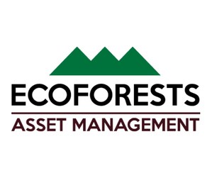 Managed Forests Prevent Wildfires