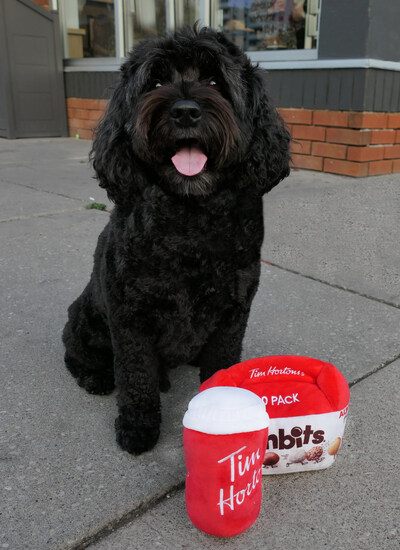 Tim Hortons celebrates National Dog Day with paws-itively adorable limited-edition Tims Cup and Timbits Box dog toys* – and Tims fans can enter a contest for a chance to win a set for their best fur-iend! (CNW Group/Tim Hortons)
