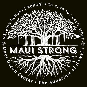 Maui is Open to Respectful Visitors