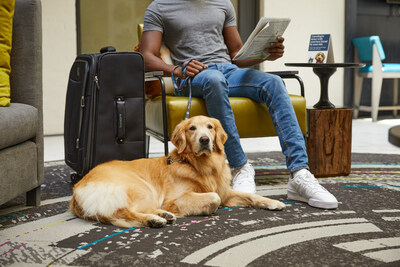 Mars Petcare, the world's largest pet care company, and Global hospitality leader Hilton have joined forces to celebrate pets on International Dog Day.