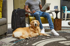 Mars Petcare and Hilton Celebrate International Dog Day with Complimentary Meal for Dogs Staying at Participating U.S. and Canada Pet-Friendly Hilton Hotels