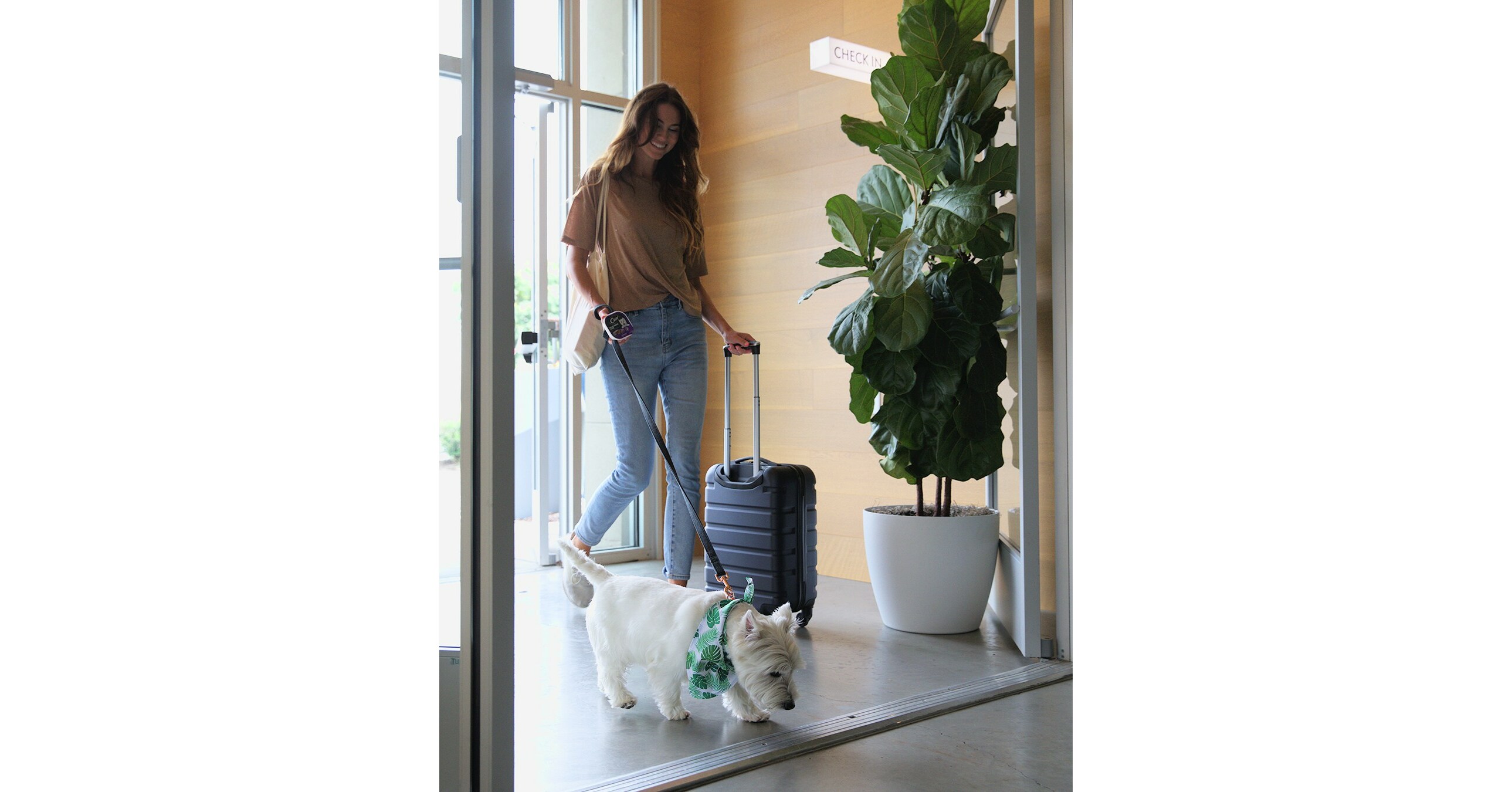 Mars Petcare and Hilton Celebrate International Dog Day with