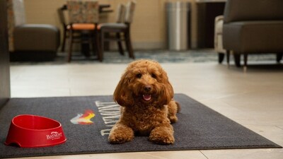 Baymont by Wyndham is looking for its next pup ambassador. Above, Frankie the golden-doodle, the brand’s first-ever Buddy of the Year.