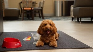 Baymont Hotels Celebrate National Dog Day with Search for Next "Baymont Buddy of The Year"