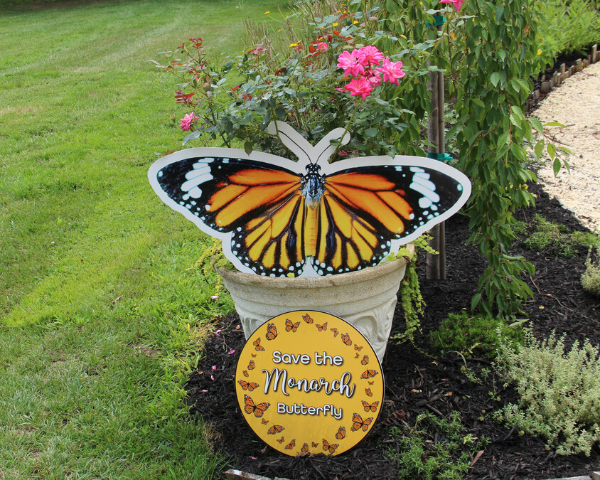 Monarch Butterfly Festival Takes Flight: A Day of Beauty, Education, and Conservation - Vimarsana News