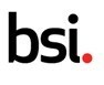 BSI Logo (PRNewsfoto/BSI)
