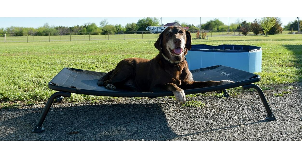 Veehoo Launches Innovative Elevated Dog Bed for Deep Sleep