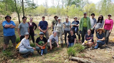 Earth Sangha volunteers replant hundreds of canopy and understory trees, shrubs, and flowering native plants, using exclosures to protect from deer and beaver