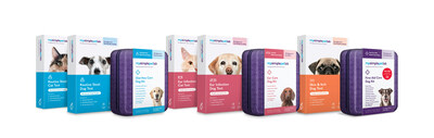 Better Pet Care Is Here MySimplePetLab s First Aid Care Dog Kit