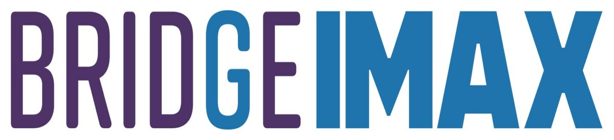 BRIDGE's Inclusion Maturity Assessment and Capability Building Framework (IMAX) Provides Brands with a Measurable Way to Maximize Inclusion Across Their Organizations - Vimarsana News