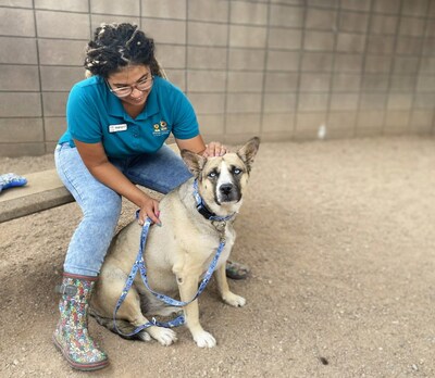 Petco Love and BOBS from Skecherstm are celebrating the lifesaving work done by animal welfare professionals, including Kleighrayne with Pima Animal Care Center in Arizona, on August 31st, National Matchmaker Day.
