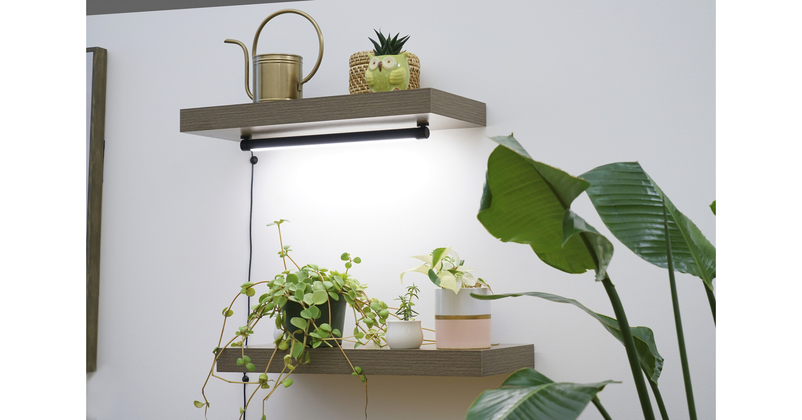 Soltech Sets the Bar in the LED Grow Light Space With The Launch of Grove™