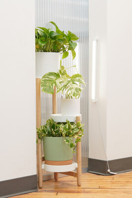 Soltech Sets the Bar in the LED Grow Light Space With The Launch of Grove™