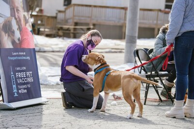 Petco Love's Vaccinated and Loved campaign adds another dimension to the fight against preventable pet diseases by enabling Petco Love's network of animal welfare partners to host complimentary vaccination clinics, with a special focus on helping pets most in need.