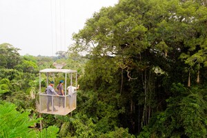 Sacha Lodge Unveils Amazon Rainforest's FIRST-EVER Canopy Exploration Crane