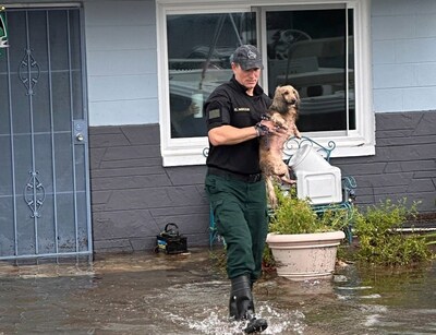 A law enforcement member of the Pasco County Sheriff's Office in Florida rescued a dog from floodwater in the wake of Hurricane Idalia.