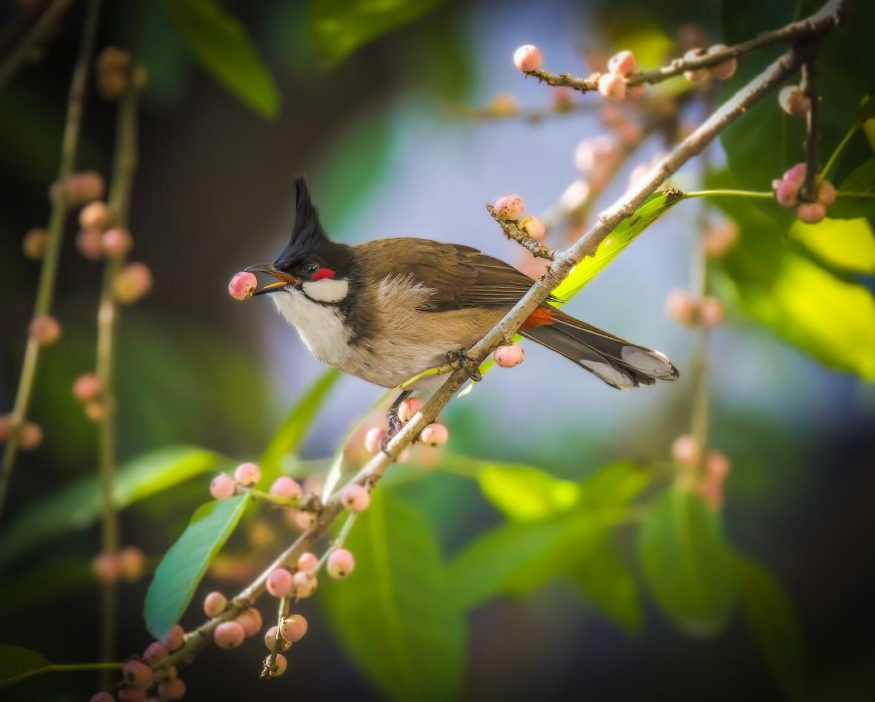 Unable to view the image, Please provide a valid URL.