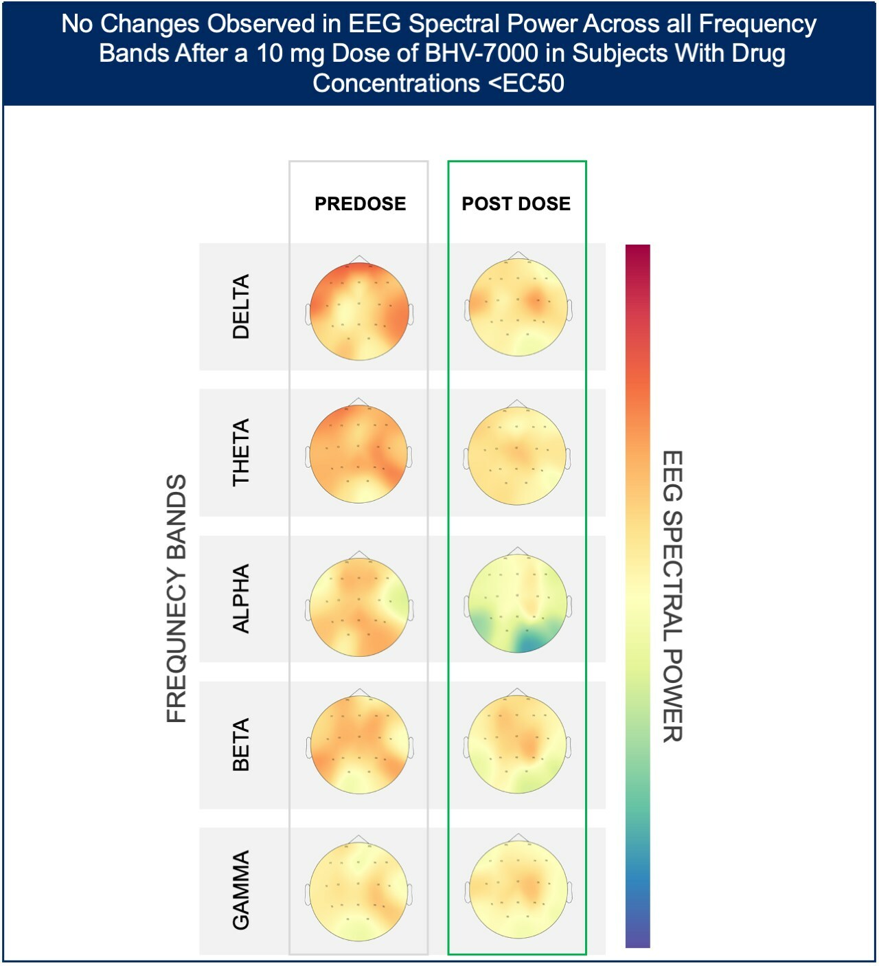 Figure 1a: Heat map depiction of topographical changes in EEG spectral power after administration of BHV-7000 10mg in subjects with target concentrations < EC50 (based on preclinical MES models). Darker red color indicates a higher magnitude of spectral power.