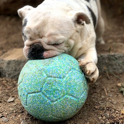Photo of Limited Edition Asher House "Tommy" Jolly Soccer Ball