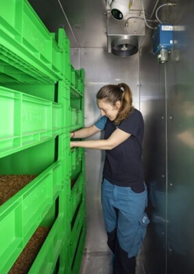 Insight into an insect growth chamber that will move to the North American Insect Center (PRNewsfoto/NRGene)