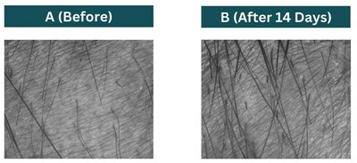 Unable to view the image, Please provide a valid URL.