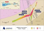 Plutonic Gold Belt, Western Australia - Numerous High-Grade gold intercepts from Trident drilling program