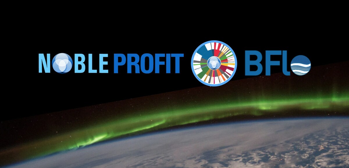 Noble Profit Sets the New Standard For Climate and Sustainability With the First United Nations' SDPI Framework Integration - Vimarsana News