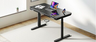 ErgoFx Sit-to-Stand Desk