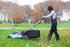 Backyarding on a Budget: 6 Money-Saving Hacks for Fall